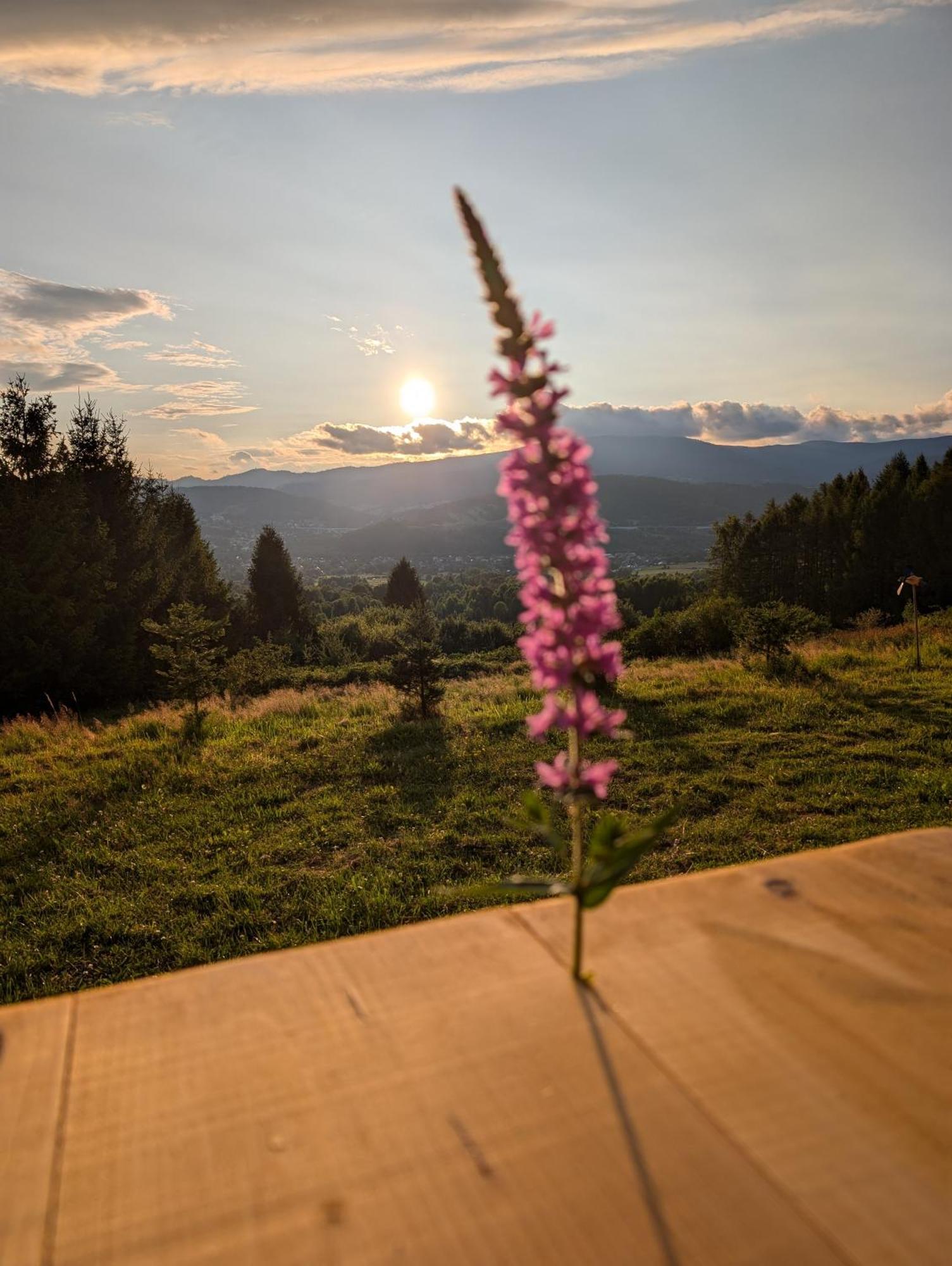 Villa Beskid มิลูฟกา ภายนอก รูปภาพ